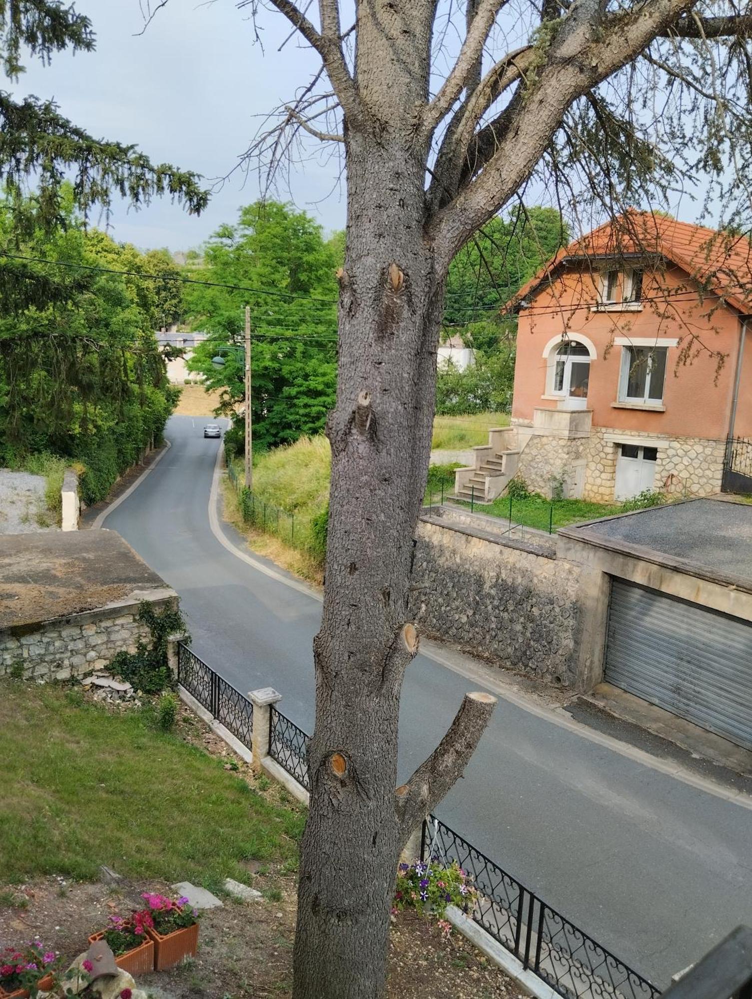 Villa Du Bien Etre Argenton Sur Creuse Eksteriør bilde